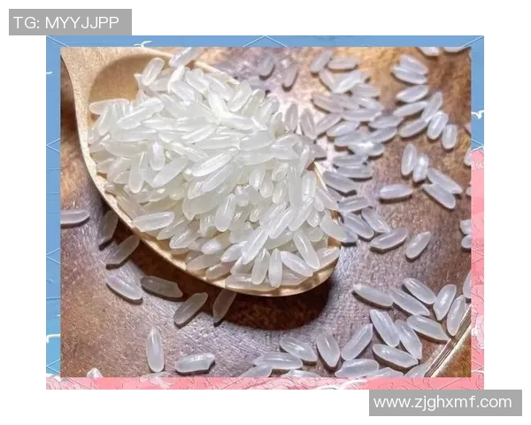 大米的营养价值与健康影响探索:从田间到餐桌的全方位分析 大米的营养价值与健康影响探索:从田间到餐桌的全方位分析