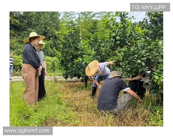 果园里的四季变迁：探索丰收的秘密与自然的奇妙共舞